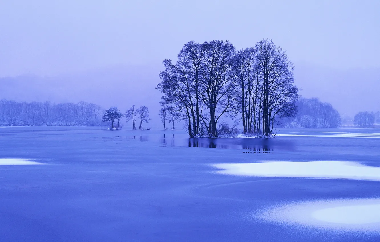Photo wallpaper ice, winter, snow, trees, landscape, blue, nature, lake