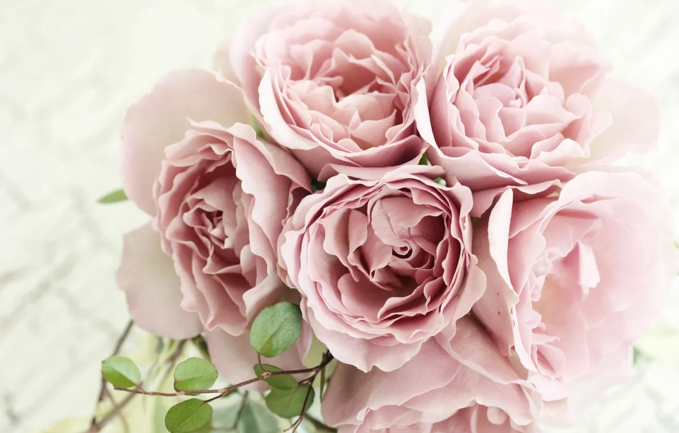 Photo wallpaper roses, bouquet, petals, pink