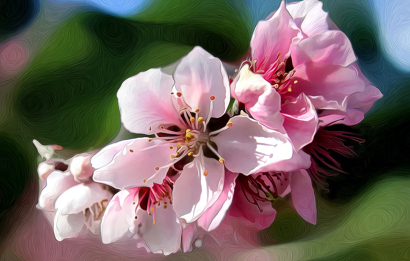 Photo wallpaper line, flowers, nature, spring, petals, garden, touch