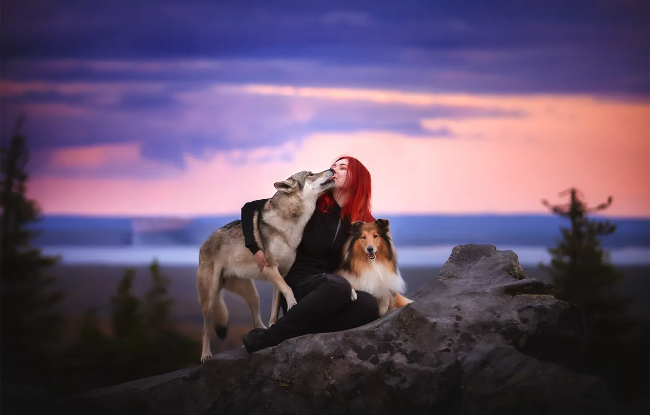 Photo wallpaper dogs, girl, nature