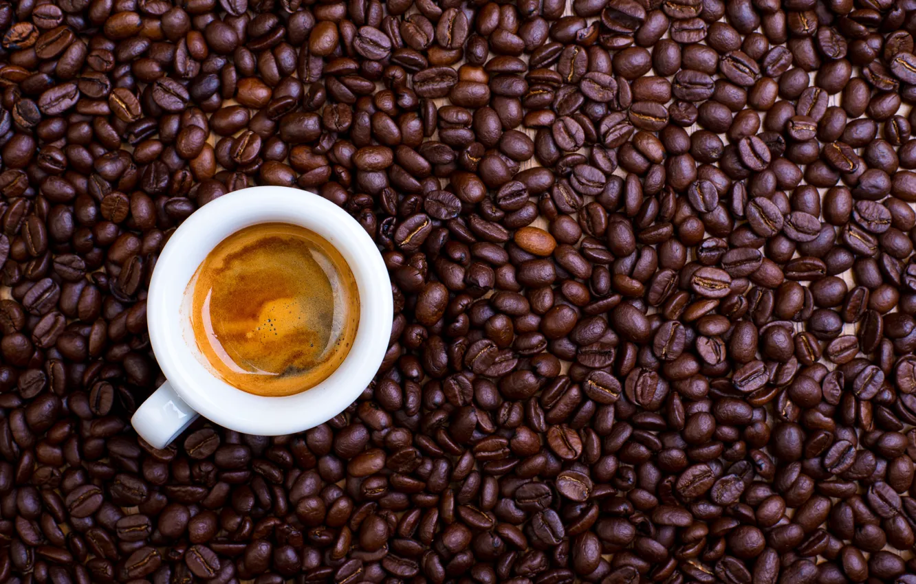 Photo wallpaper coffee, drink, coffee beans