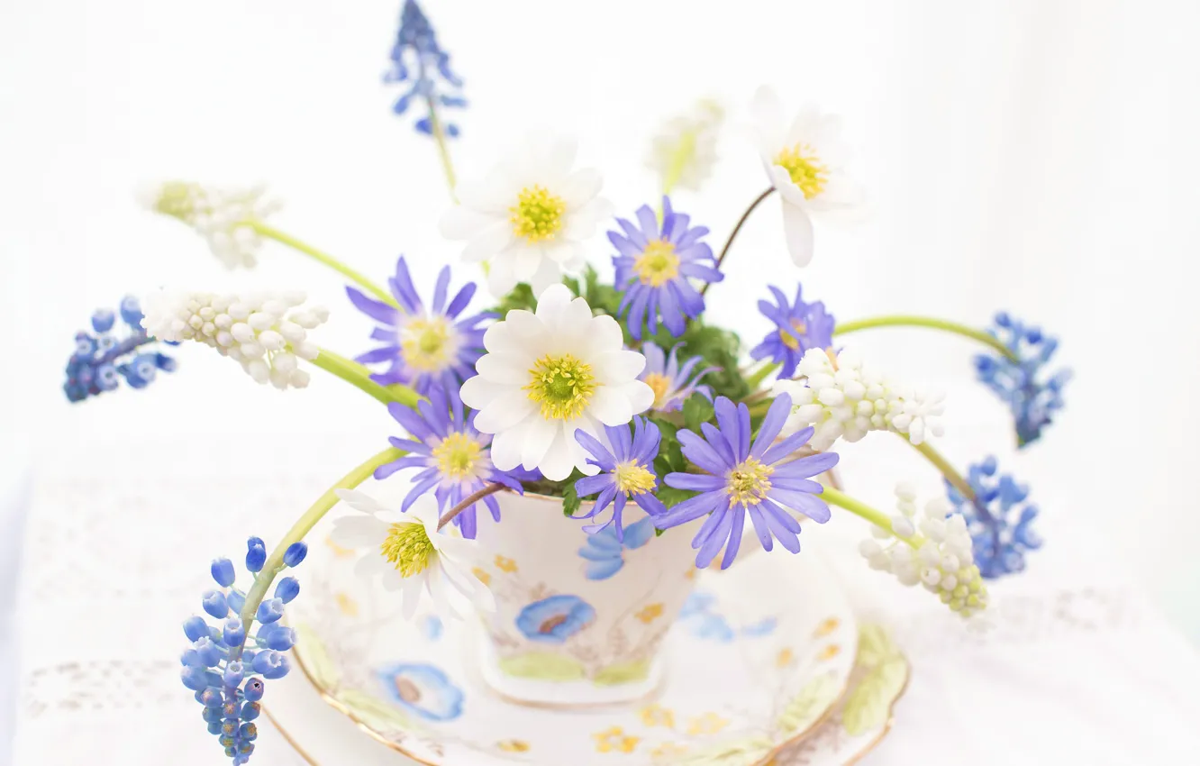 Photo wallpaper Cup, saucer, a bunch, Muscari, anemones, anemone, Viper onion, hyacinth mouse