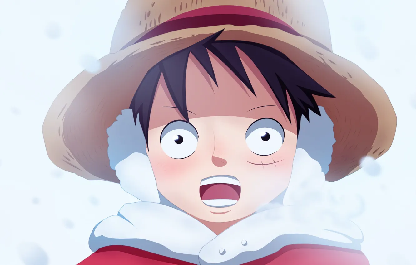 Photo wallpaper winter, hat, boy, One Piece, scar