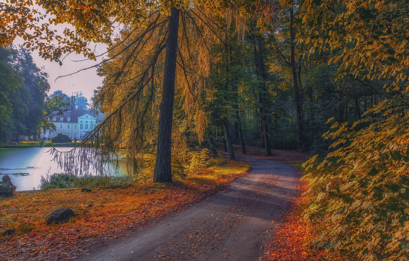 Photo wallpaper road, autumn, forest, trees, lake, Park, building