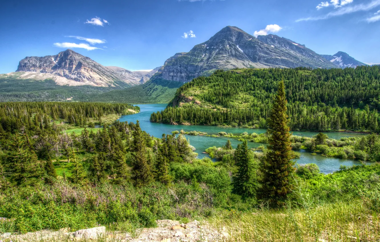 Photo wallpaper forest, landscape, mountains, nature, Park, HDR, USA, Glacier