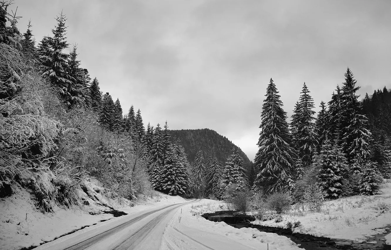 Photo wallpaper road, winter, snow, stream