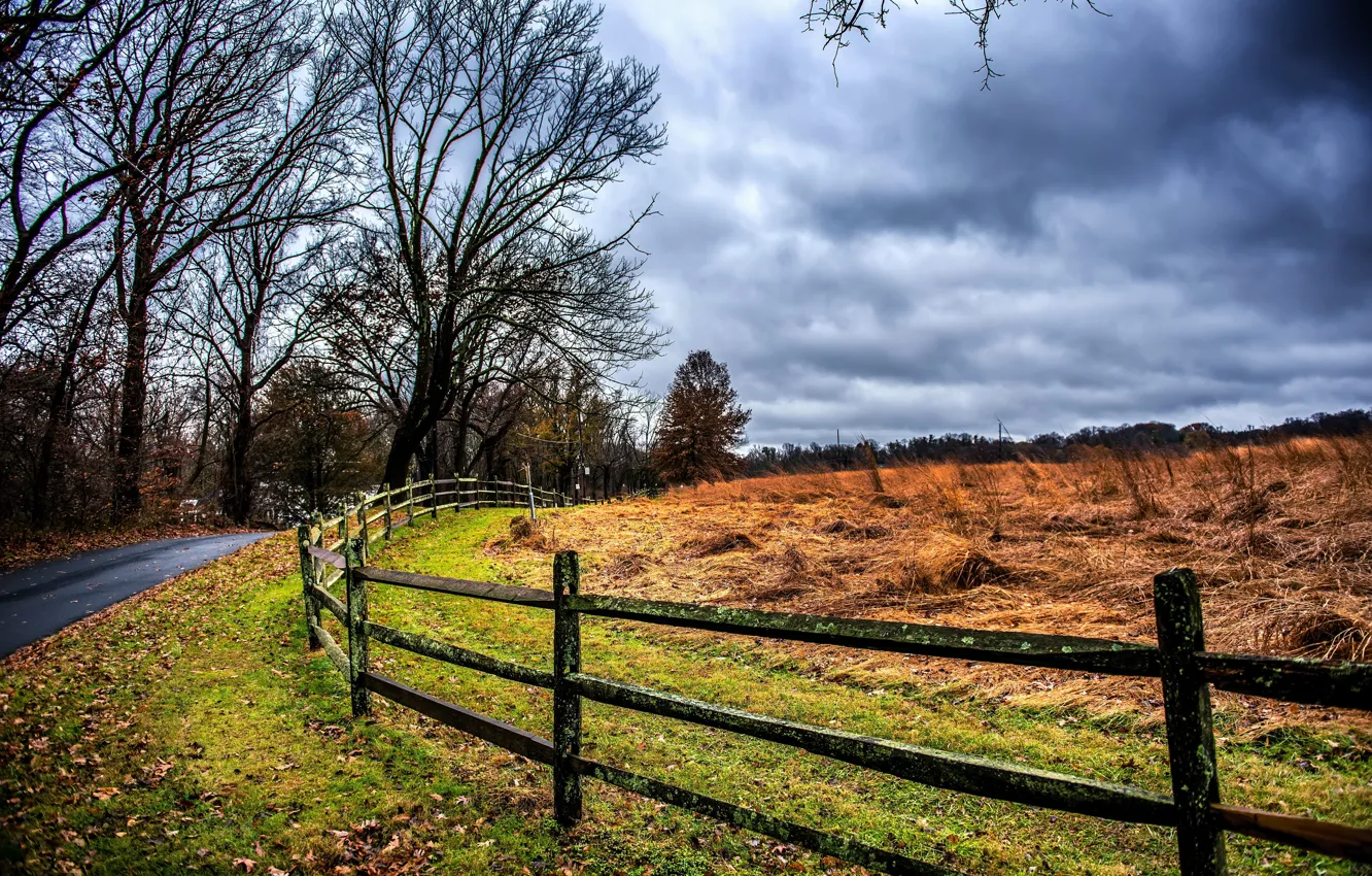 Photo wallpaper rain, fence, Curve, Carelessly