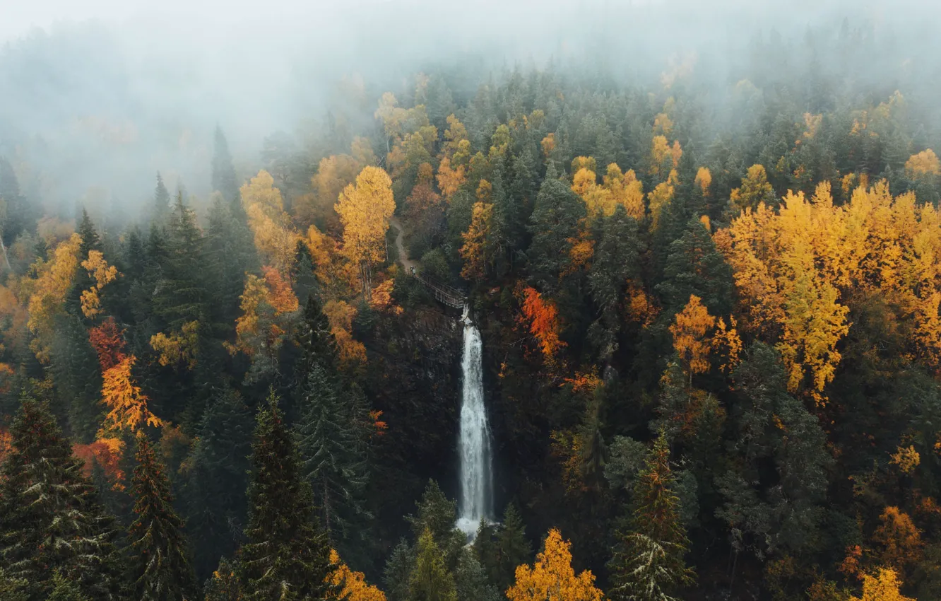 Photo wallpaper autumn, forest, mountains, bridge, fog, rocks, waterfall, stream