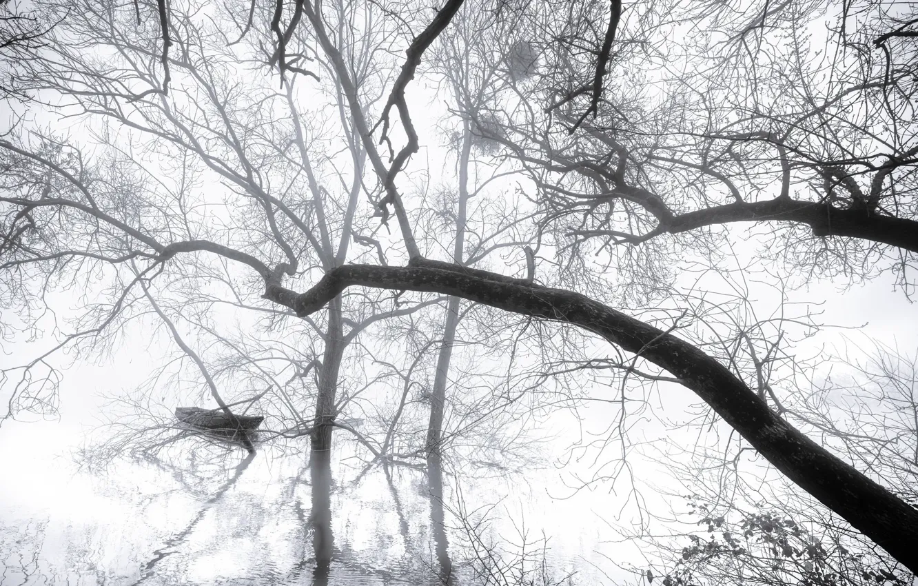Photo wallpaper nature, fog, lake, boat