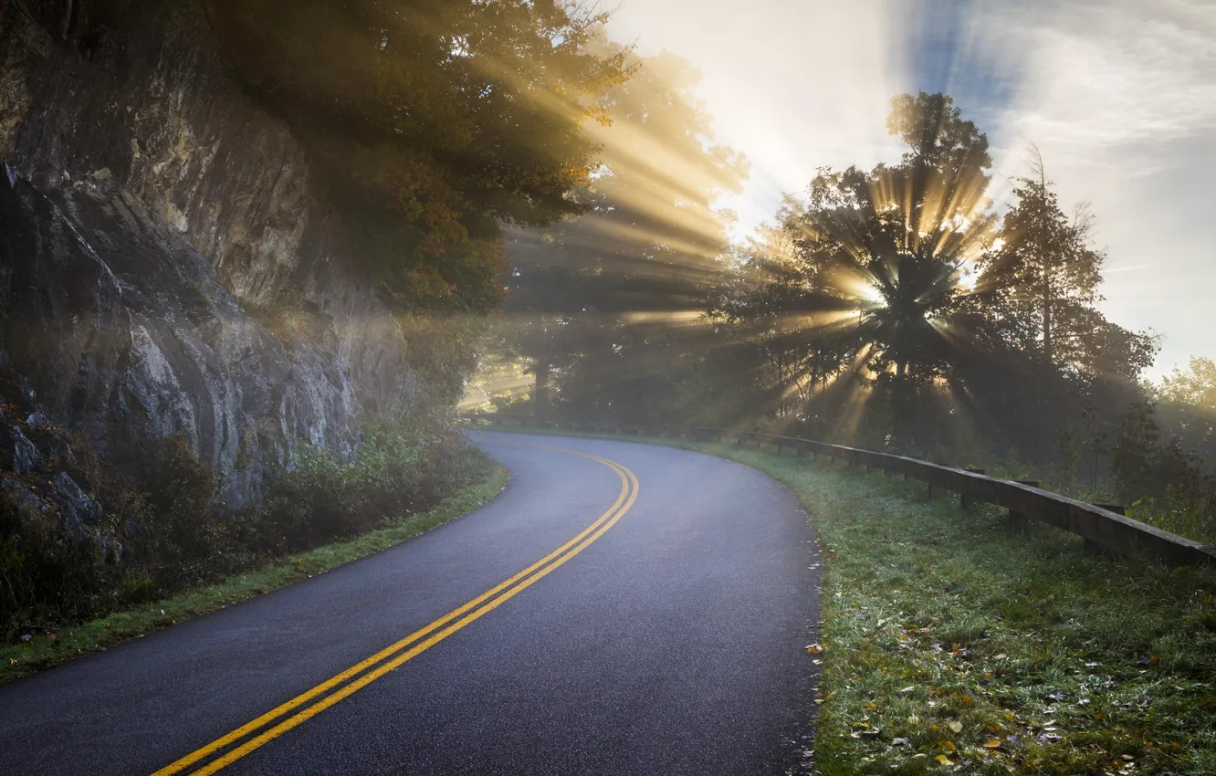 Photo wallpaper road, rays, light, trees, nature, rocks, morning, haze