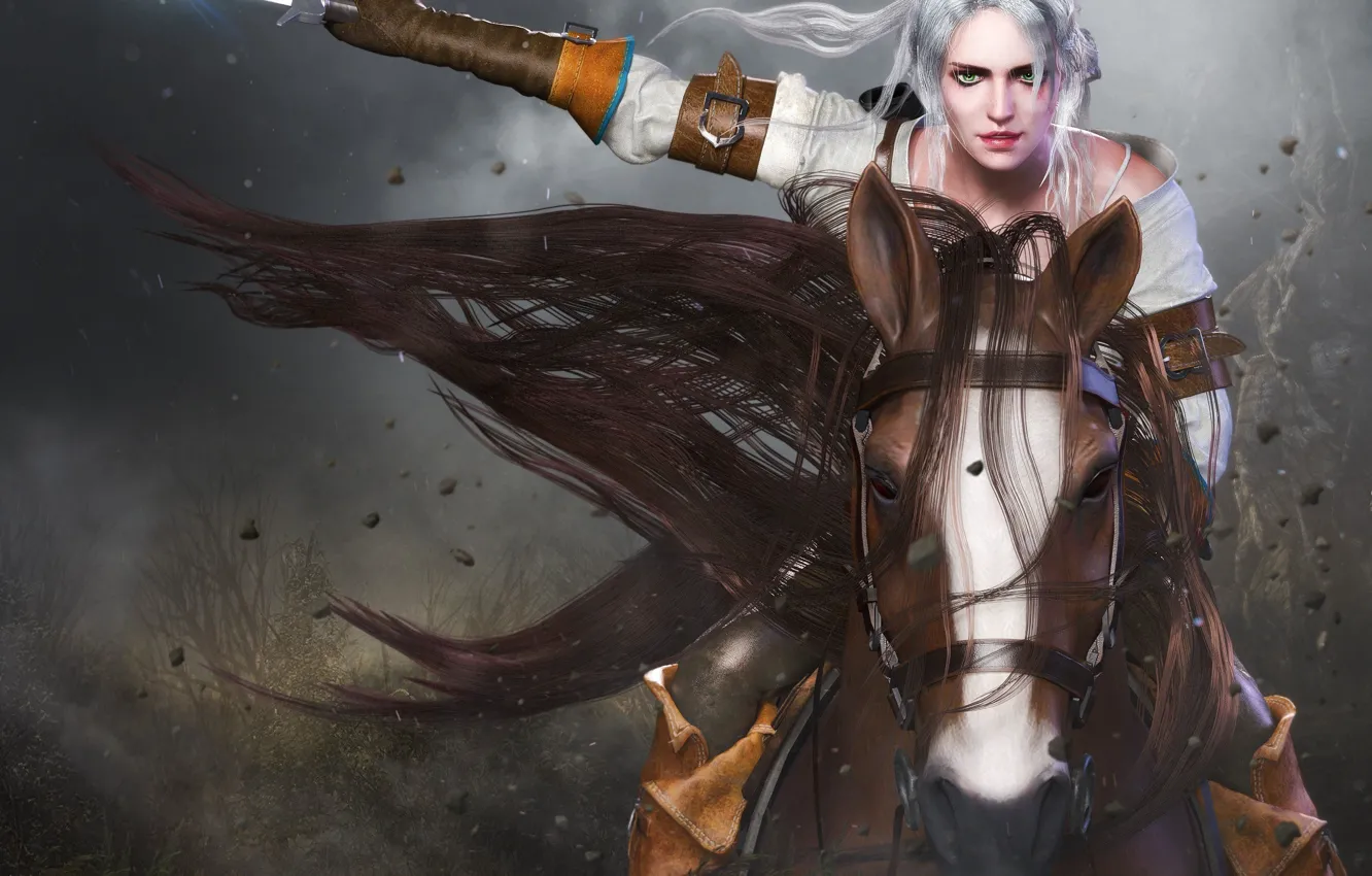 Photo wallpaper Girl, Look, Sword, Horse, Game, Front, The Witcher 3: Wild Hunt, The Witcher 3: Wild …