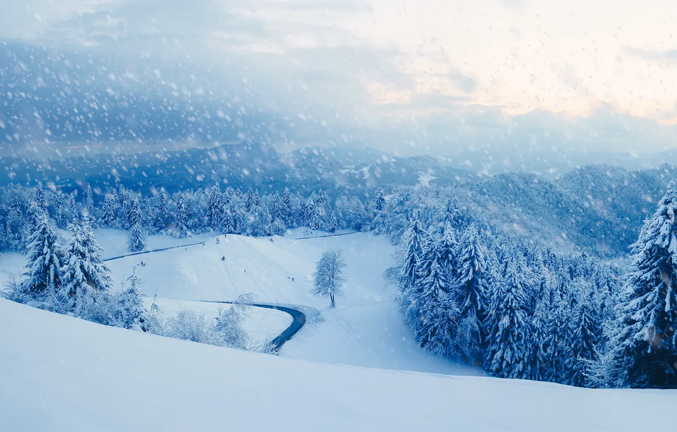 Photo wallpaper winter, snow, nature