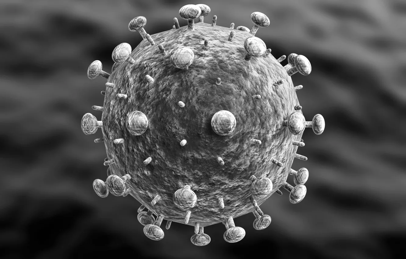 Photo wallpaper viruses, bacteria, microscopic