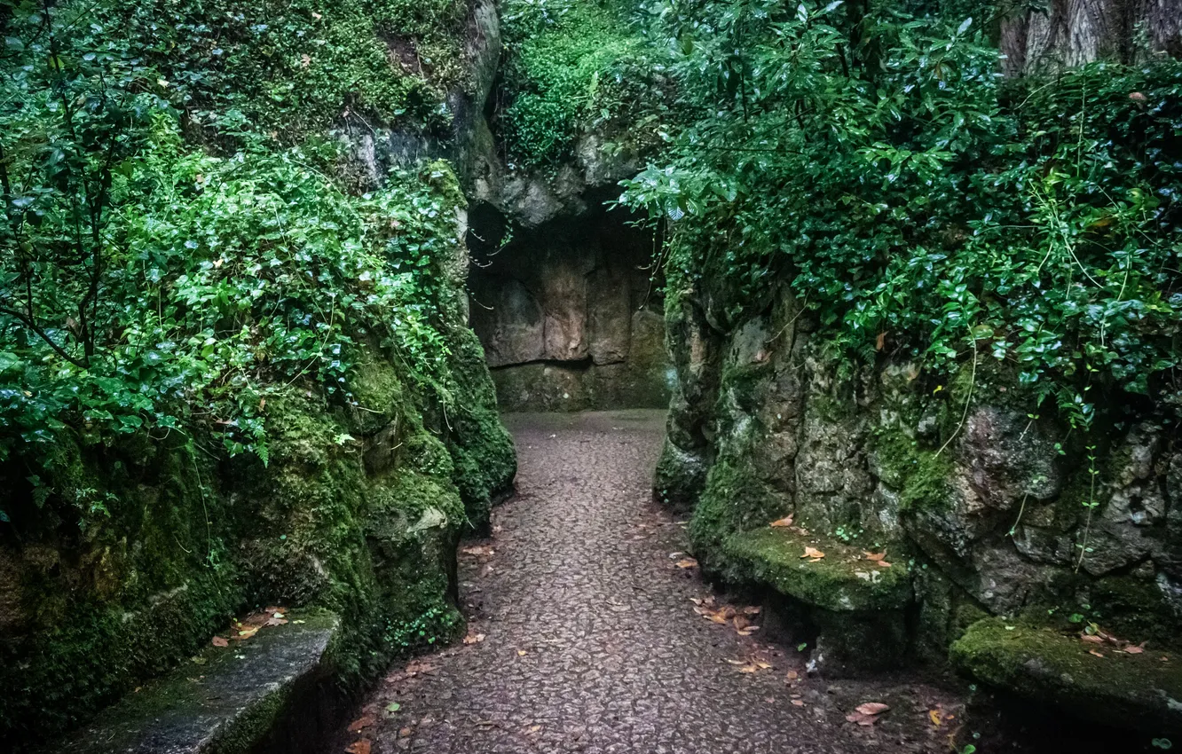 Photo wallpaper greens, Park, stones, moss, shop, track, pass, Portugal