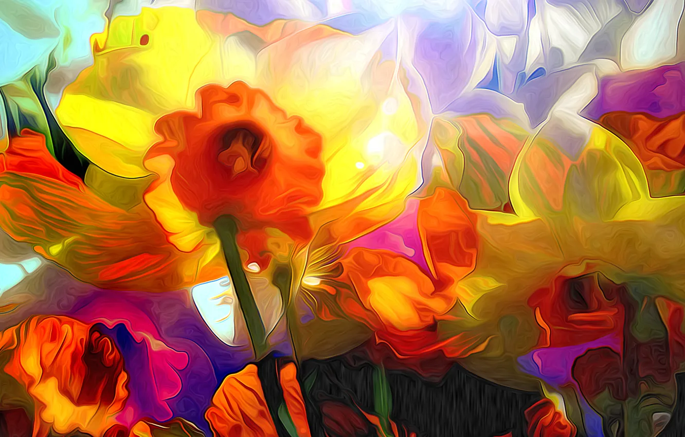 Photo wallpaper line, flowers, rendering, paint, petals, Narcissus