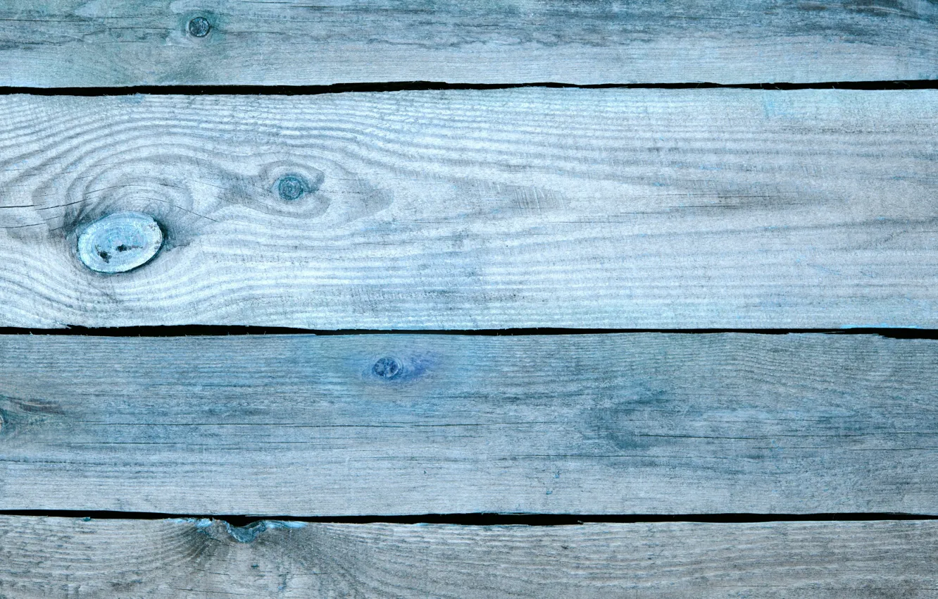 Photo wallpaper trees, wood, texture