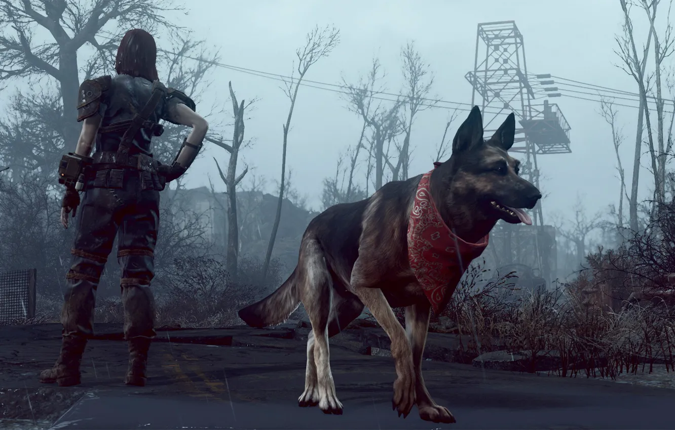 Photo wallpaper dog, Fallout-4, He got your back