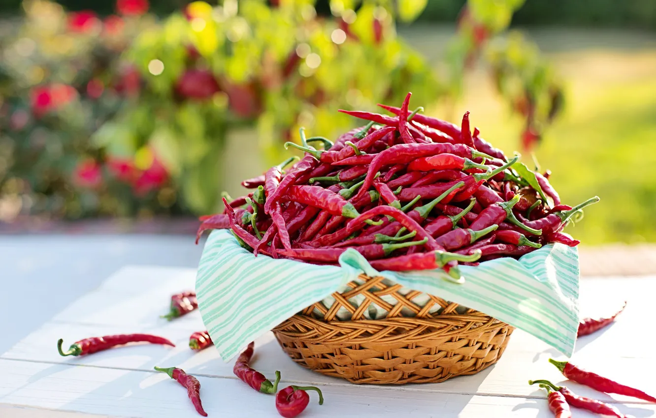 Photo wallpaper harvest, pepper, sharp, Cayenne Pepper