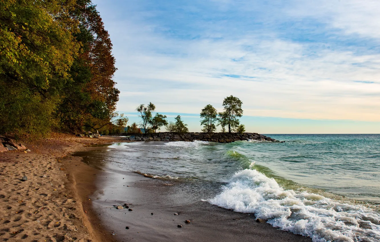 Photo wallpaper sand, beach, the sky, clouds, trees, lake, stones, shore