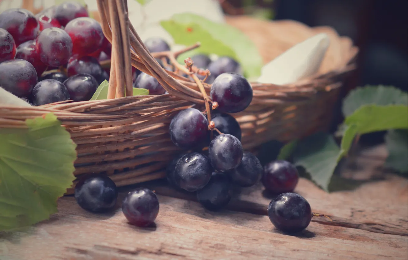 Photo wallpaper table, grapes, still life