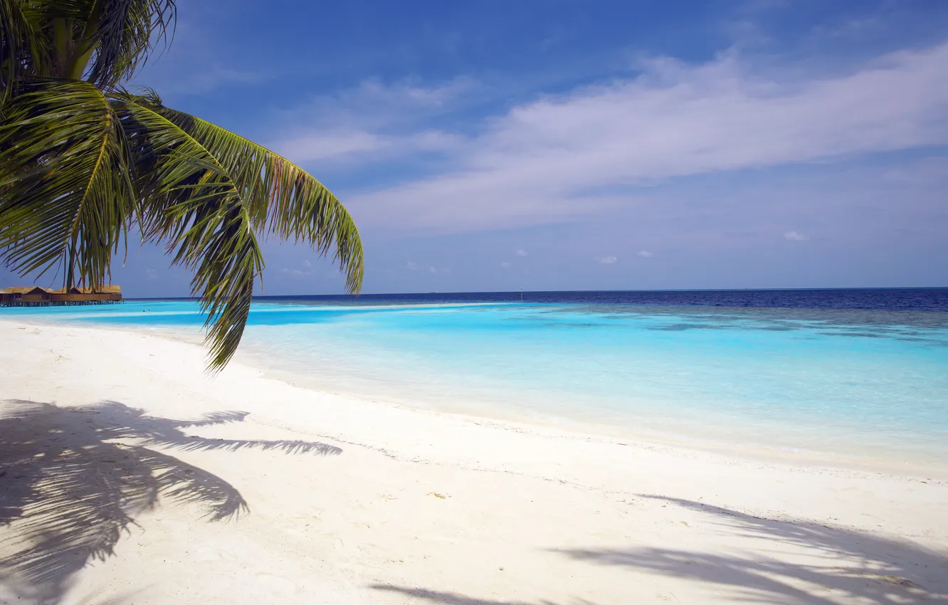 Photo wallpaper sand, beach, the sky, clouds, landscape, nature, palm trees, the ocean