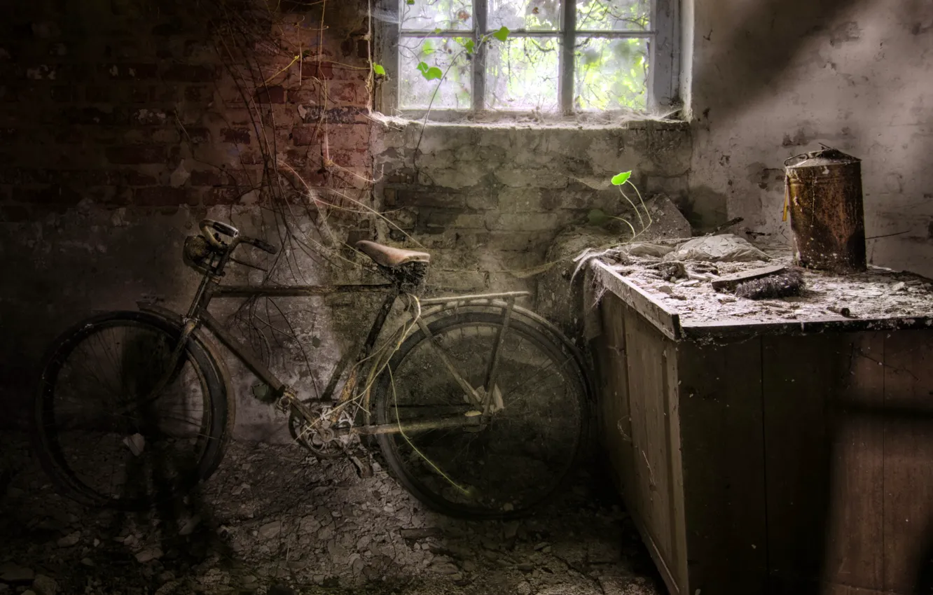 Photo wallpaper bike, background, the basement