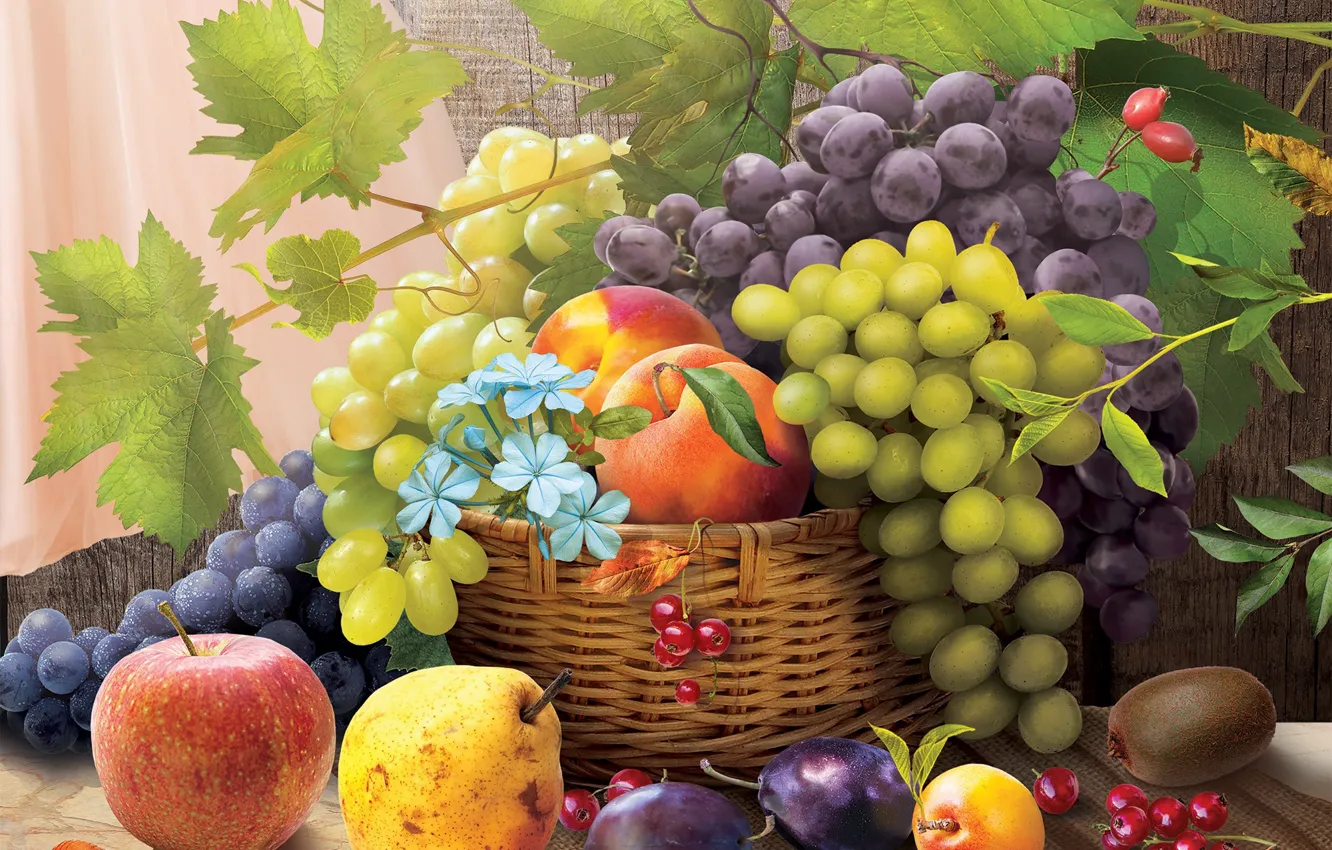 Photo wallpaper flowers, rendering, grapes, fruit, vine