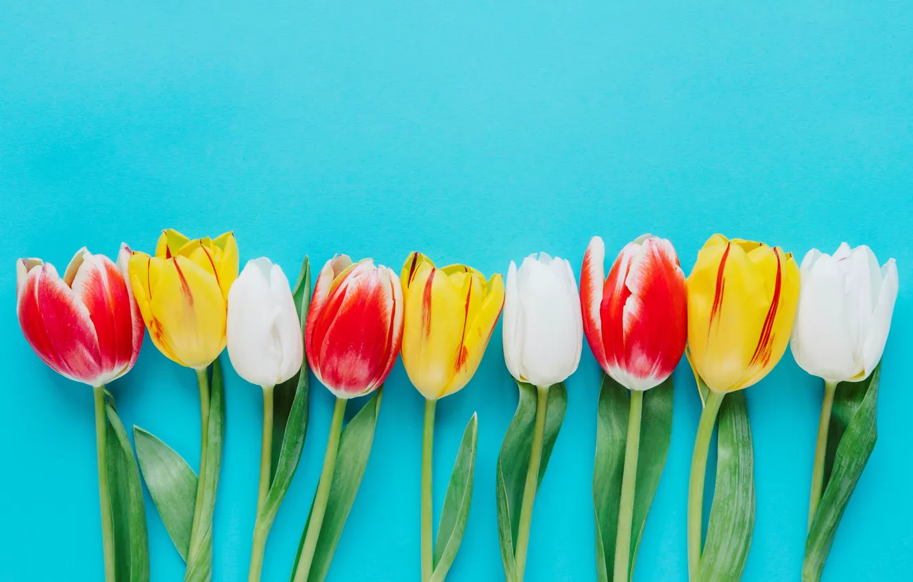 Photo wallpaper flowers, yellow, bouquet, spring, colorful, tulips, fresh, yellow