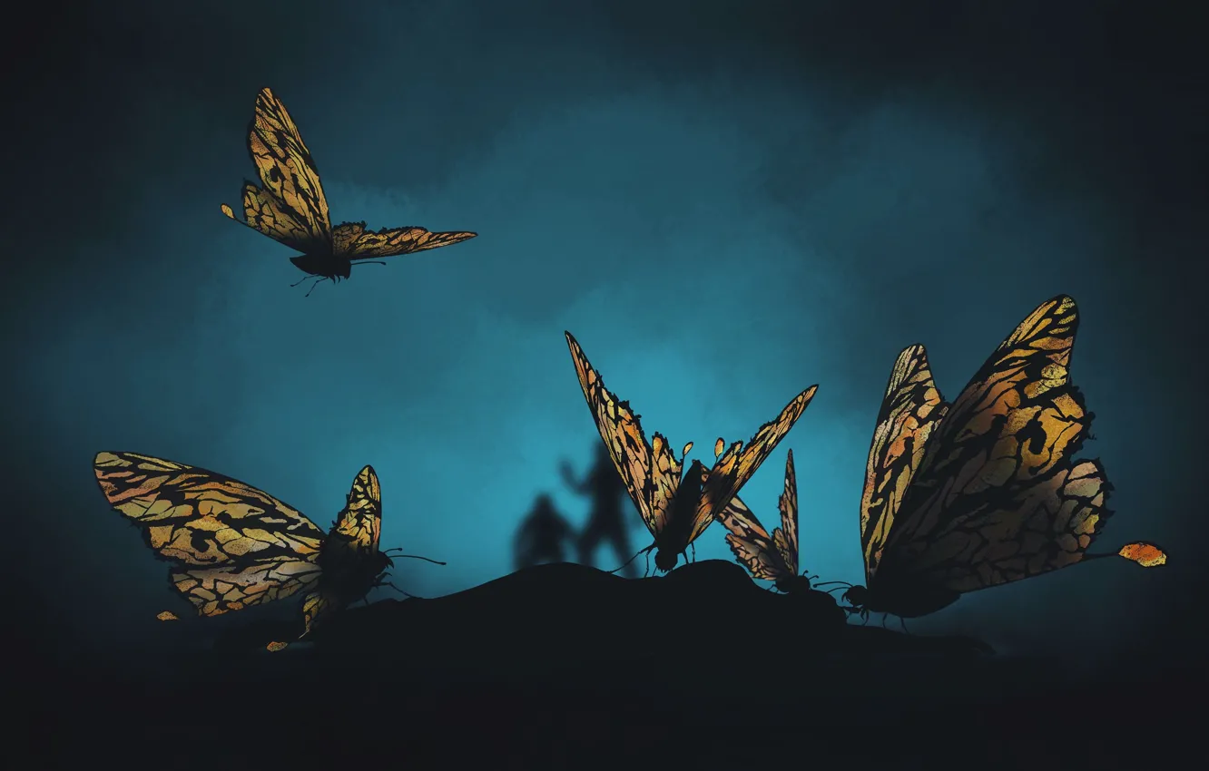 Photo wallpaper butterfly, background, figure