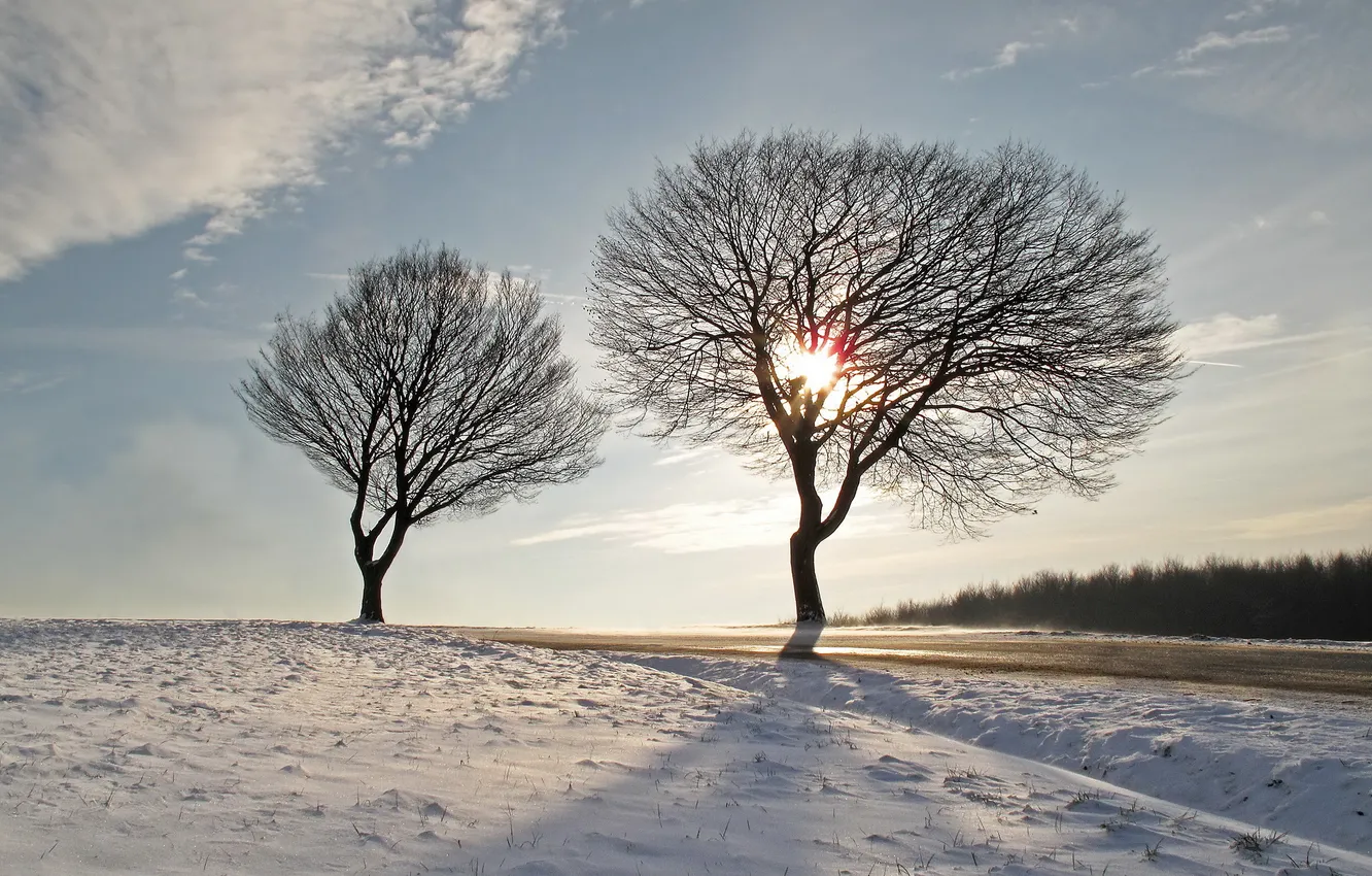 Photo wallpaper winter, road, the sky, trees, landscape