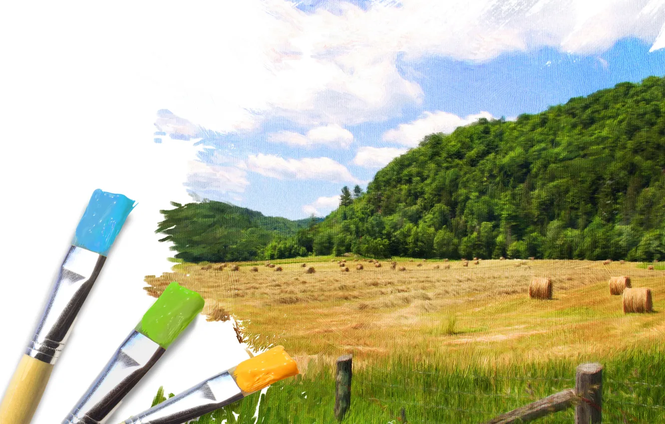 Photo wallpaper greens, the sky, grass, clouds, landscape, paint, hay, brush