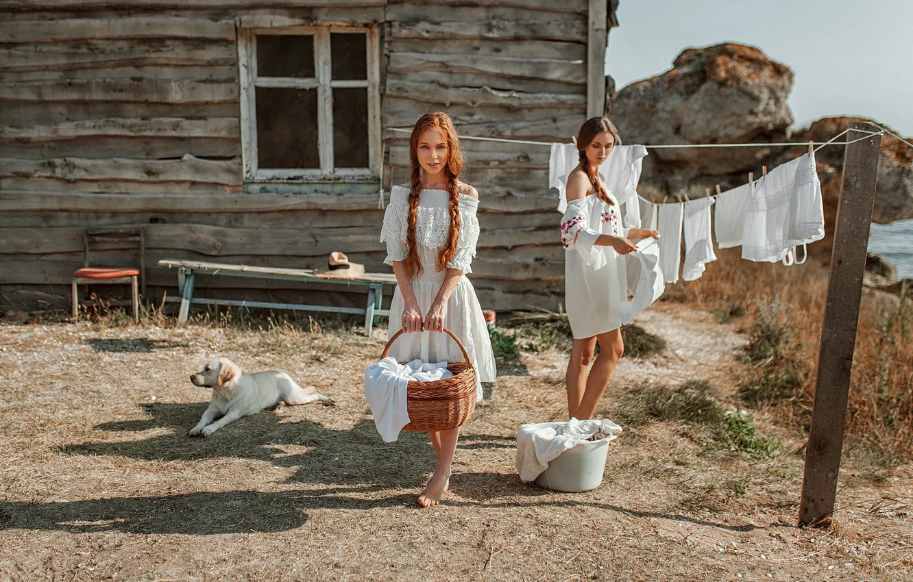 Photo wallpaper girl, linen, home, dog, Kate, wash, Oksana, Evgeny Freyer