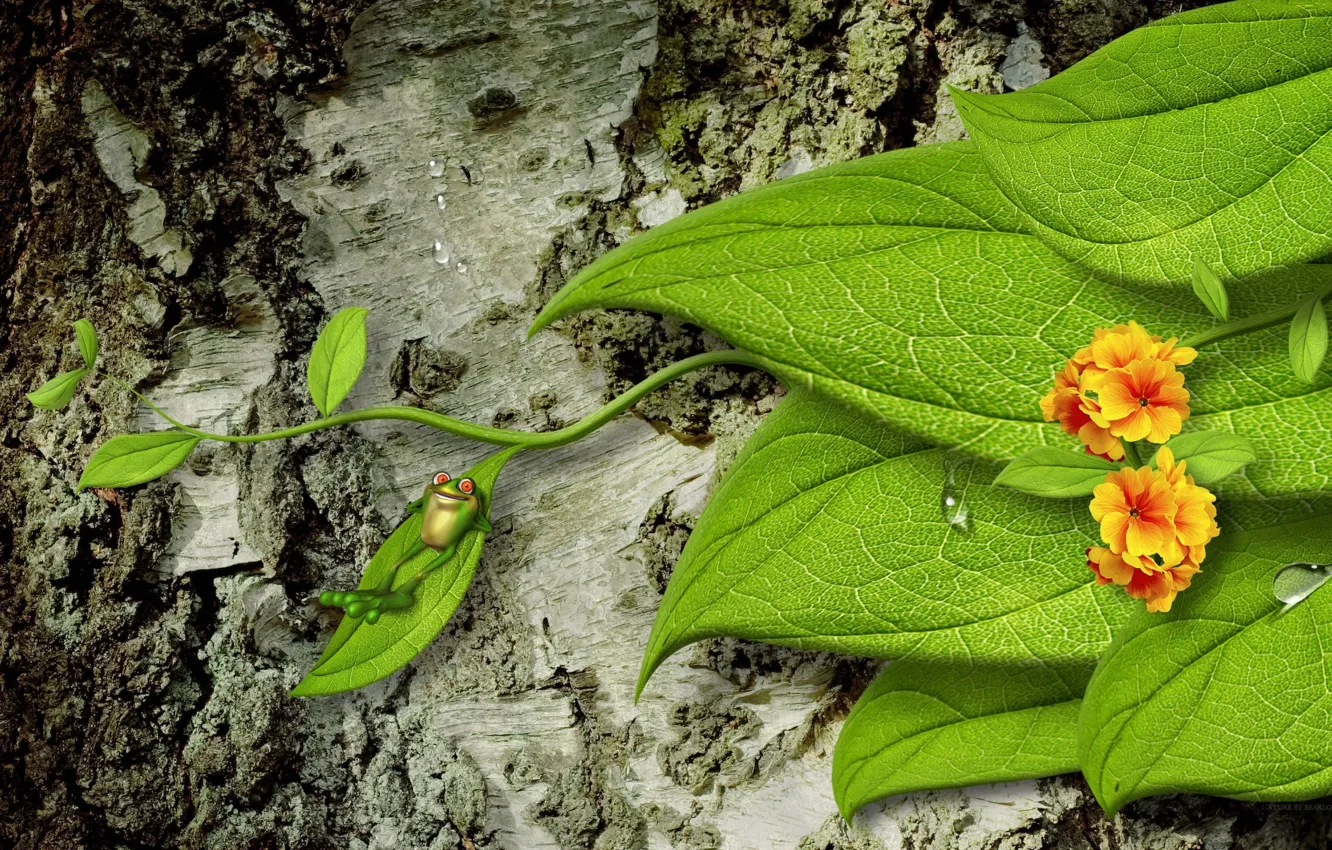 Photo wallpaper leaves, drops, flowers, tree, frog, bark