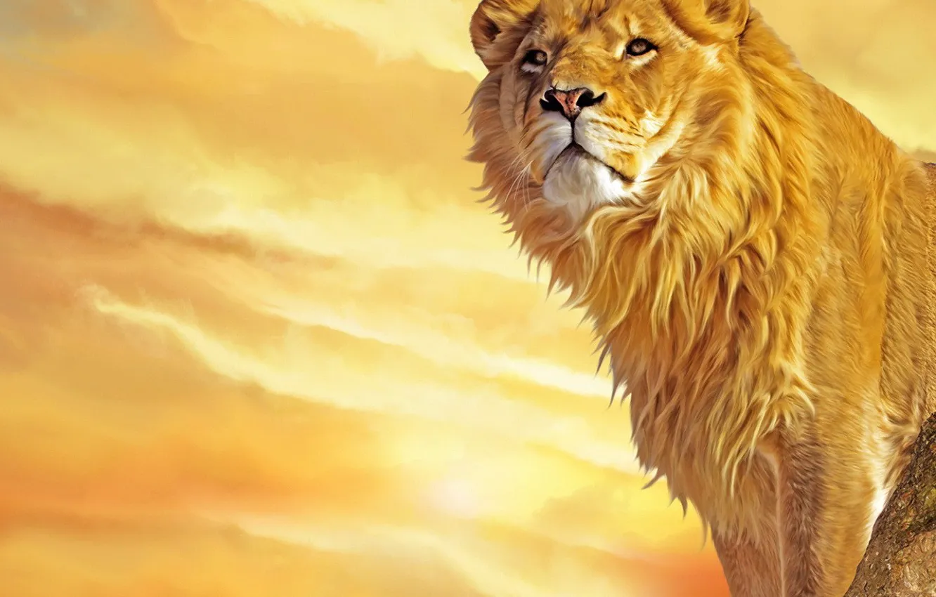 Photo wallpaper yellow, mane, Leo, the king of beasts