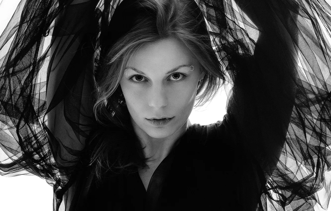 Photo wallpaper look, Alice, black and white, Matvey Karmakov