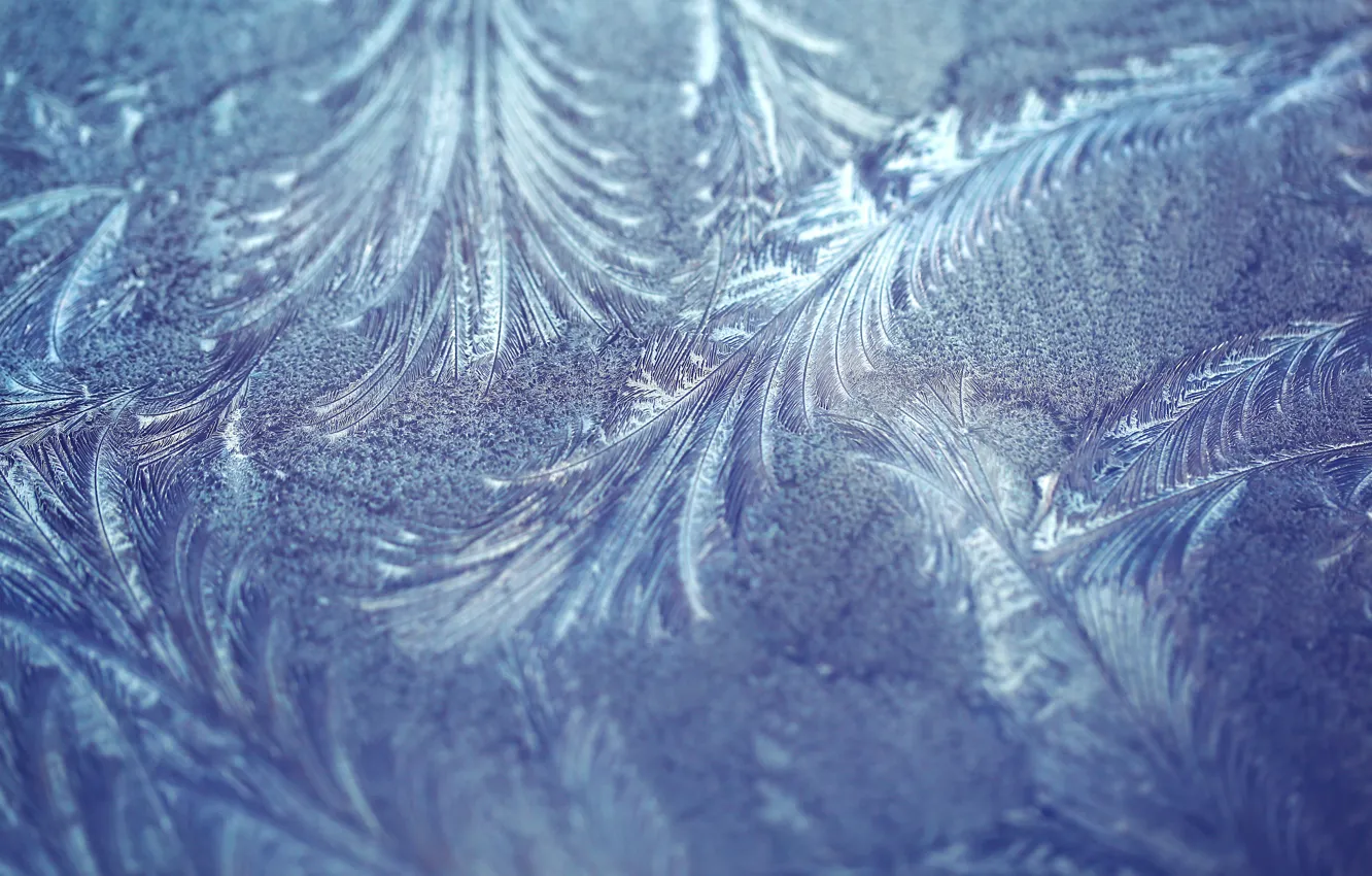 Photo wallpaper frost, macro, pattern, texture, frost