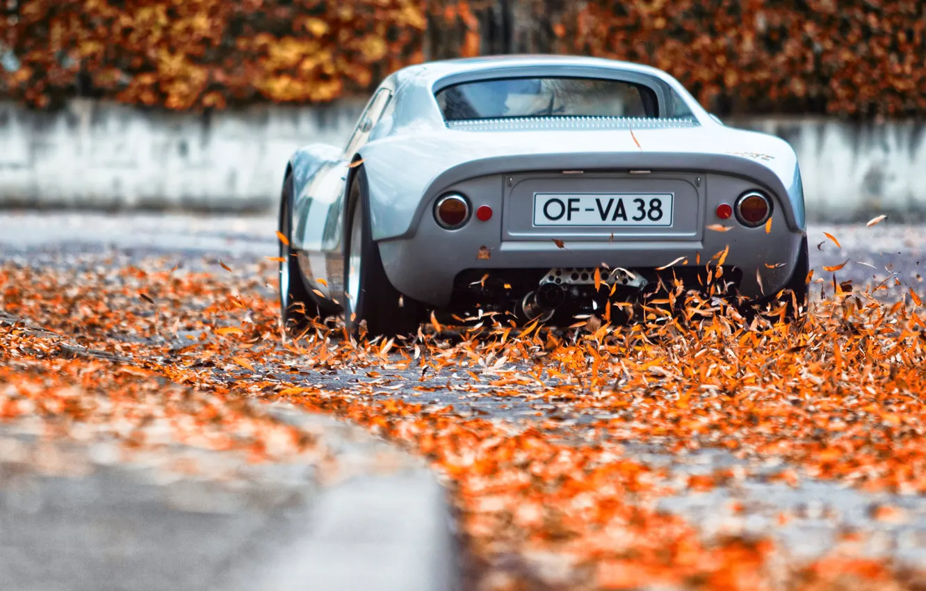 Photo wallpaper Auto, Autumn, Porsche, Leaves, Machine, Carrera, 1964, 904