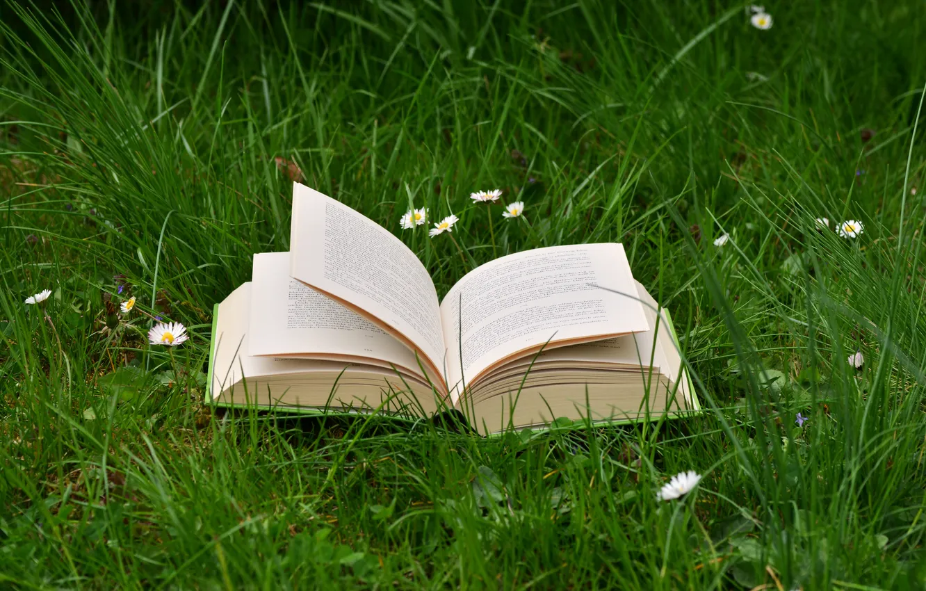 Photo wallpaper flower, grass, nature, plants, book