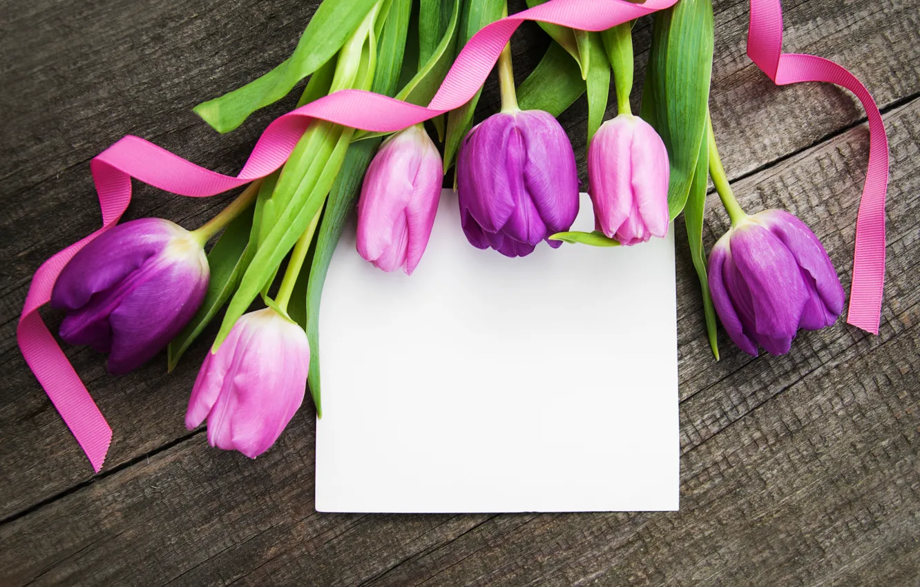 Photo wallpaper flowers, colorful, tulips, wood, pink, flowers, tulips, spring
