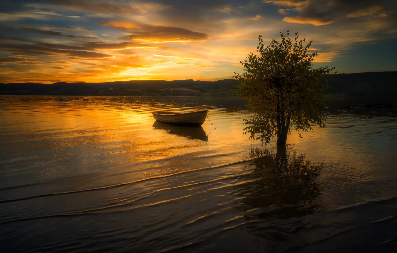 Photo wallpaper sunset, river, tree, boat