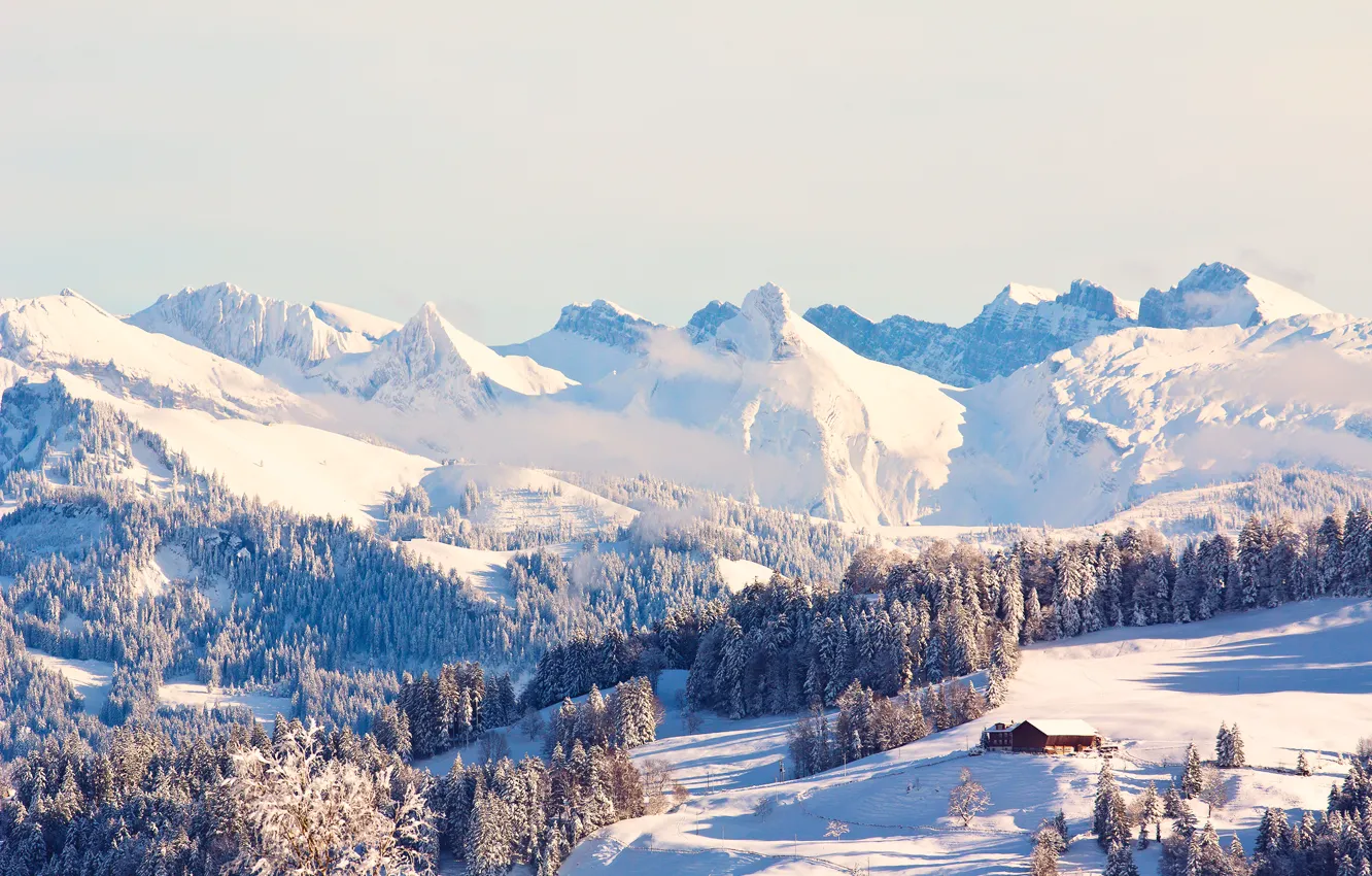 Photo wallpaper winter, forest, snow, mountains, house