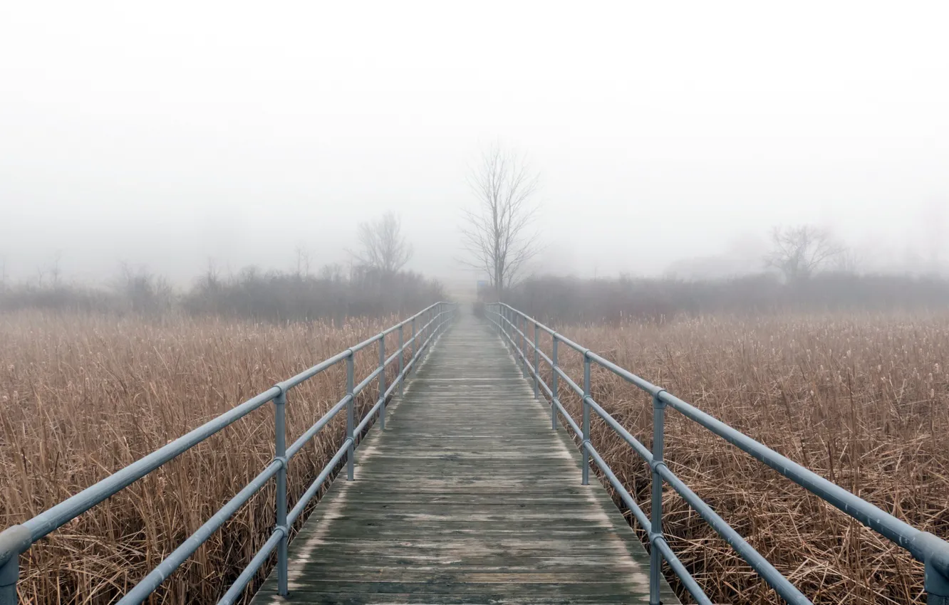 Photo wallpaper winter, bridge, fog