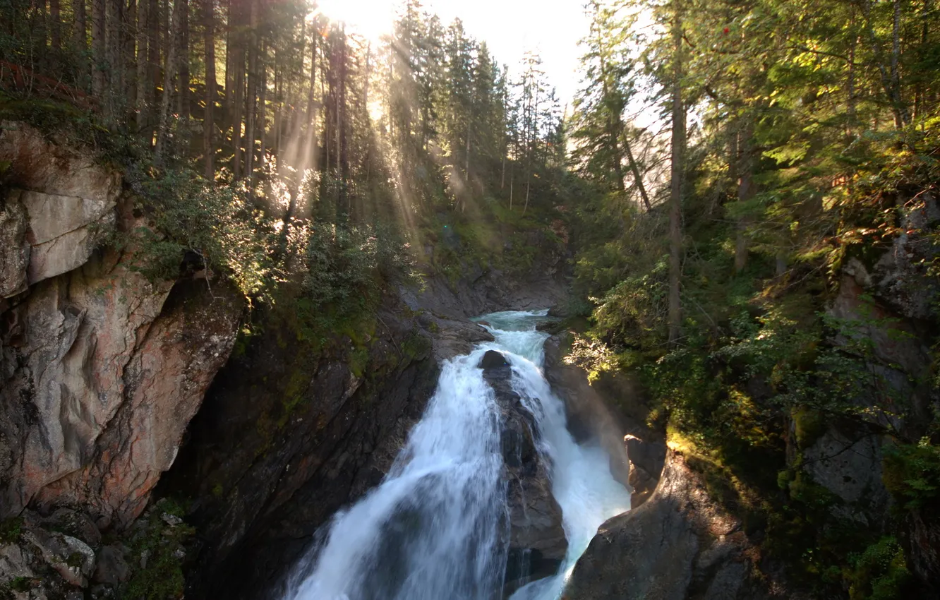 Photo wallpaper forest, mountains, river