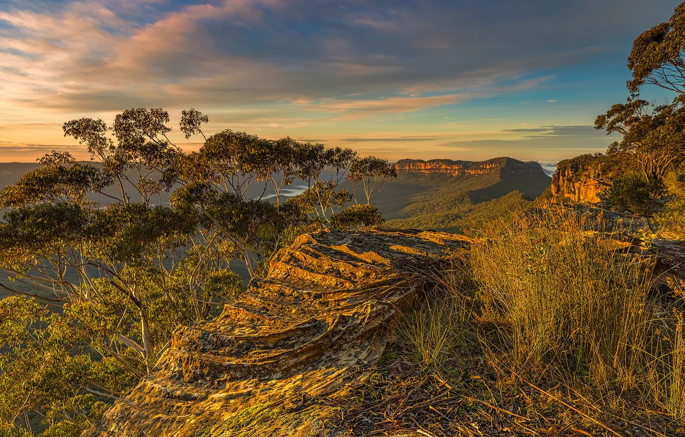 Photo wallpaper sea, the sky, grass, trees, stones, rocks