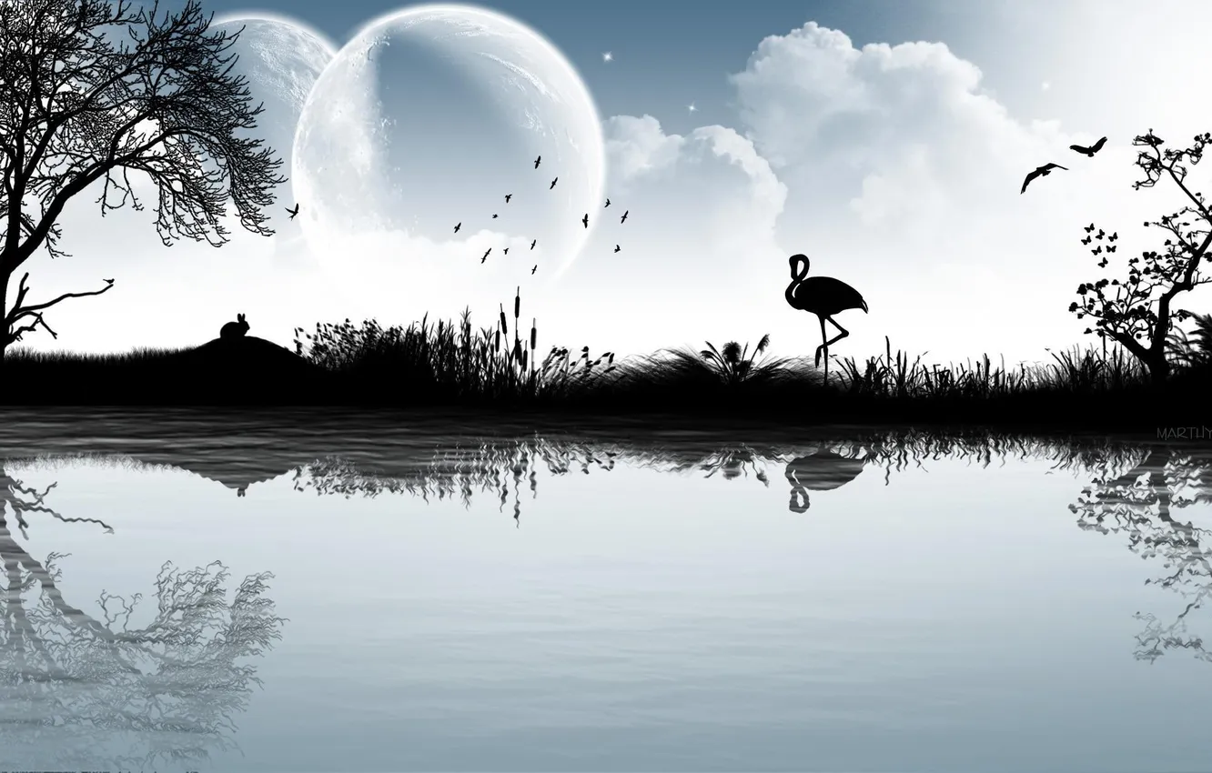Photo wallpaper the sky, stars, trees, night, nature, lake, bird, the moon