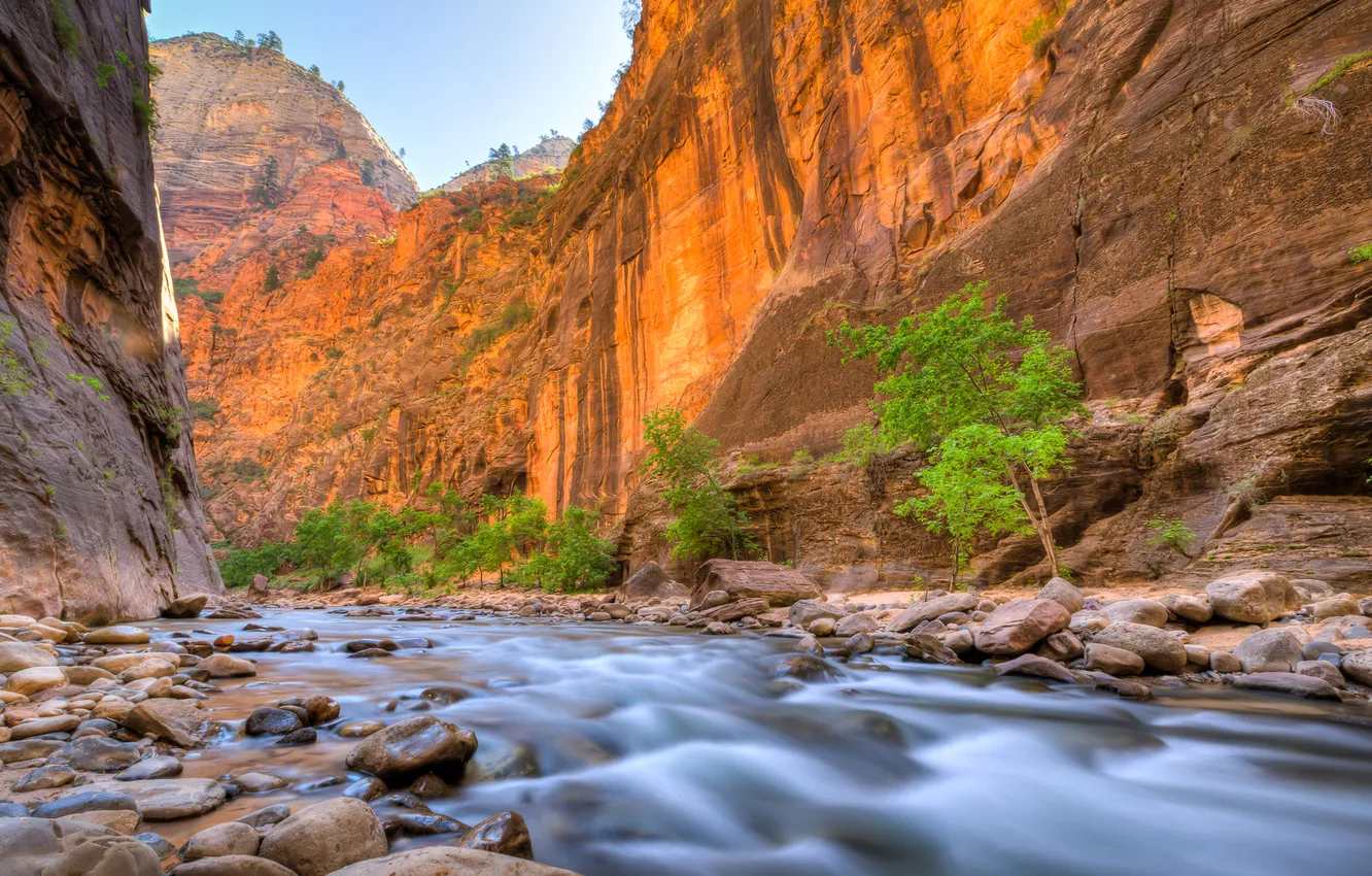 Photo wallpaper trees, river, stones, rocks, canyon, gorge, Zion National Park, USA
