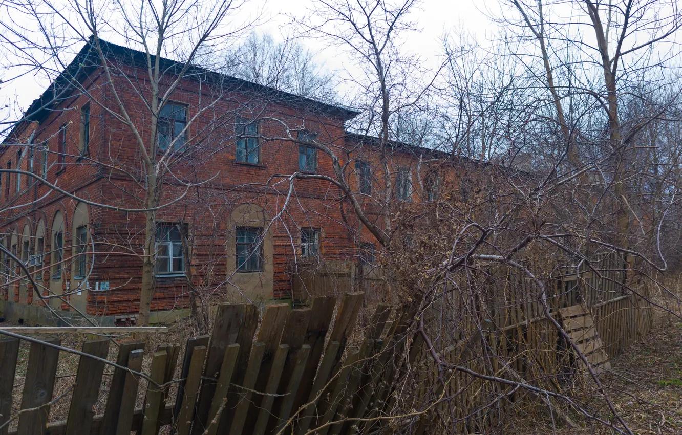 Photo wallpaper trees, branches, the fence, building, home, spring, the evening, April