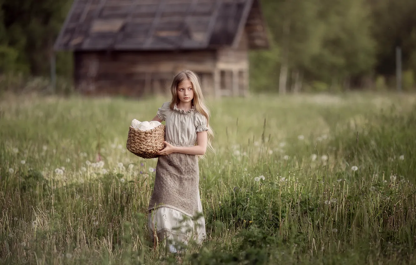 Photo wallpaper grass, basket, village, girl, the hassle, Marina Petro