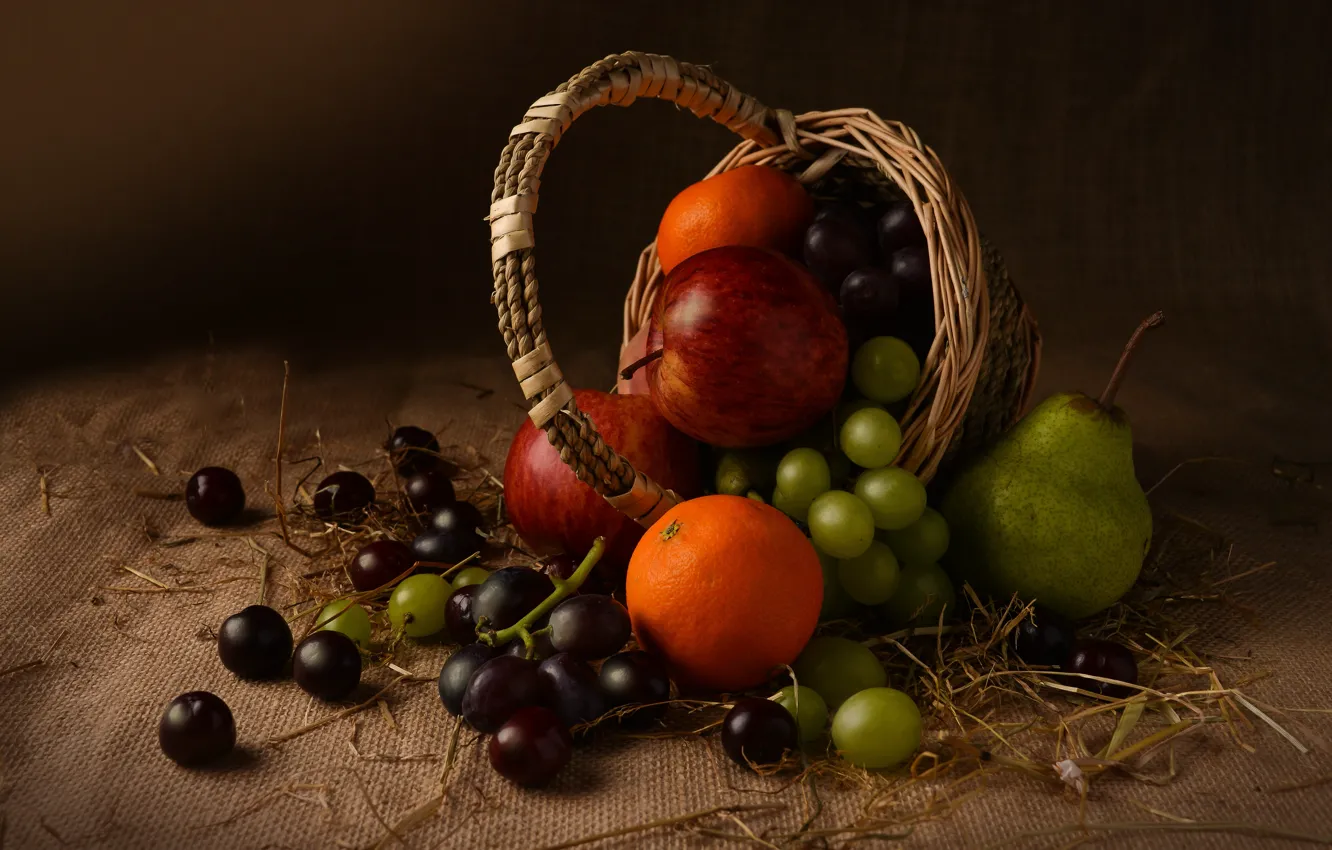 Photo wallpaper the dark background, apples, food, grapes, bunch, fruit, still life, placer