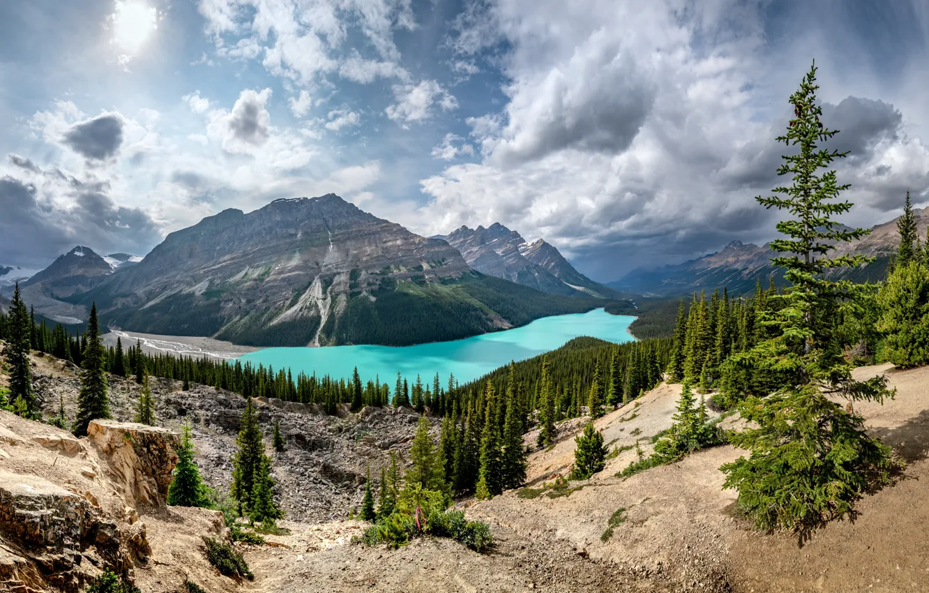 Photo wallpaper Canada, Banff National Park, Alberta, Peyto Lake